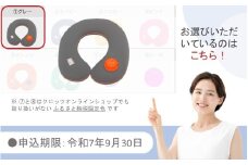 【9月30日まで】【限定色】【グレー】クロッツやわらか湯たんぽ/肩用タイプ_2584R-1