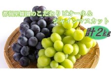 【数量限定】令和7年発送/都留果樹園のこだわりピオーネ＆シャインマスカット計2kg_2594R