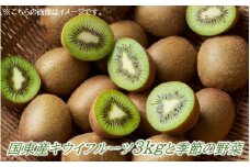 【先行予約】国東産キウイフルーツ3kgと季節の野菜_2595R