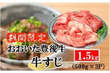 【期間限定 9月30日まで】豊後牛 牛すじ肉 1.5kg （500g×3P）スジ 牛筋 黒毛和牛 国産 煮込み料理_2591R-2