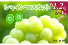 【先行予約】おおいたの豊潤シャインマスカット約1.2㎏_2609Ｒ