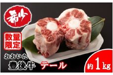 【月8セット限定】 希少部位! おおいた豊後牛 牛テール 約1kg 黒毛和牛 貴重 尻尾 料理 テールスープ テールカレー_2590R