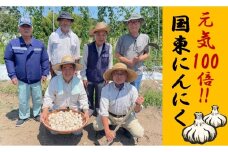 毎日食べて元気モリモリ！国東産乾燥にんにく0.8kg/こだわり減農薬栽培