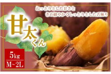 【先行予約】さつまいも 甘太くん 5kg 大分県産 M～2L _2291R