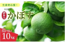 【訳あり】大分県産 露地かぼす 10kg_2612R-3