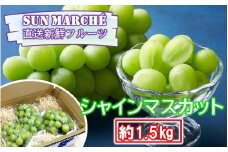 SUNマルシェの直送新鮮フルーツ / シャインマスカット 約1.5kg (3～4房)_2618R