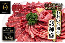 おおいた和牛 焼肉にピッタリ!牛肉の3種盛(カルビ・ロース・赤身)(合計750g)_肉 お肉 焼き肉 焼肉 食べ比べ 黒毛和牛 和牛 ギフト プレゼント 高級 バーベキュー BBQ【1089360】