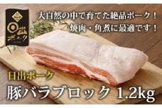 ＜日出ポーク＞豚バラブロック(1.2kg)【1078238】
