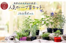 元気なおすすめハーブ苗9ポットセット＜3号ポット＞【1085903】