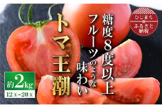 2025年1月中旬から順次発送＜糖度8度以上＞あま～いトマト「トマ王 潮」約2kg【1087106】