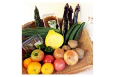 産地直送!旬の朝採れ野菜のセット(9～13種程度)【1088636】