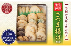 さつま揚げ(天ぷら)セット 10種/22個入り おかずやおつまみにおすすめ!_さつま揚げ 天ぷら 練り物 惣菜 おかず おつまみ 美味しい 人気 おすすめ 送料無料【1101581】
