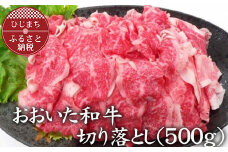 おおいた和牛　切り落とし(500g)【1104199】