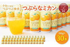 つぶらなミカン(190g×30本)_  飲料 ジュース ご当地ドリンク お取り寄せ 人気 美味しい 粒入り ミカンジュース みかんジュース みかん 缶 【1104725】