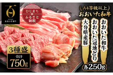 おおいた和牛・大分県産豚・おおいた冠地どり3種盛(合計750g)【1112601】