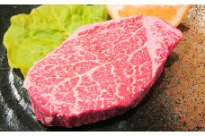 肉質4等級以上のお肉 おおいた和牛シャトウブリアンステーキ(100g×5枚)【1113585】