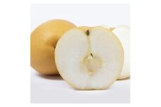 大分県日出町産　谷農園の大玉梨「新高」5kg(5～6個)【1107706】