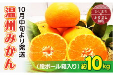 ＜10月中旬より発送＞温州みかん 約10kg(ダンボール箱入り)【1106335】