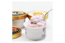 地元特産品アイス3種　12個セット【1118778】