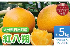 ＜2026年3月発送＞紅八朔　約5kg(化粧箱入り)【1106338】
