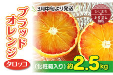 3月下旬より発送 ブラッドオレンジ(タロッコ)2.5kg(11玉～20玉) 化粧箱入り【1134446】