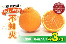 ＜1月より発送＞あまい柑橘!不知火 3kg(7・8玉または10・12玉)段ボール箱入り【1134445】