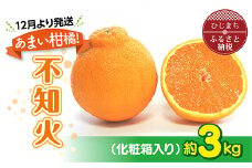 ＜12月より発送＞あまい柑橘!不知火 3kg(7～8玉または10玉)化粧箱入り【1134444】