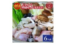 日出産とらふぐ料理セット(6人前)白子付き【1133894】