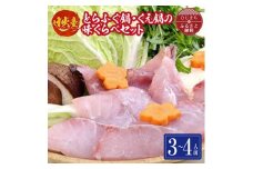 日出産とらふぐ鍋・くえ鍋の味くらべセット(3～4人前)【1133896】