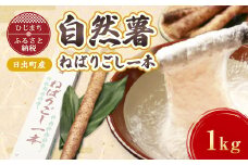 日出町産自然薯「ねばりごし一本」 (1kg)【1134765】