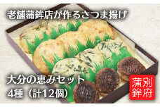 さつま揚げ(天ぷら) 大分の恵みセット 4種/12個入り【1258344】