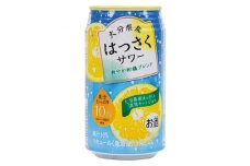 ＜大分県産はっさく&清見オレンジ使用＞はっさくサワー　1箱(340ml×24本入り)【1281776】