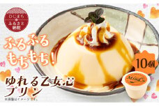 ゆれる乙女心プリン　10個セット【1283282】