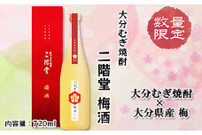 ＜数量限定＞二階堂 梅酒 (化粧箱入り) AG42【1291923】