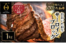 おおいた和牛サーロインブロック＜1kg＞(日出町)【1293072】