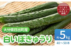 大分県日出町産「白いぼきゅうり」5kg(40～50本入り)【1304915】