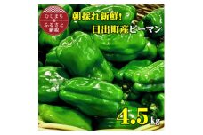 大分県日出町産　朝採れ新鮮ピーマン　4.5kg(80～100個)【1318742】