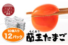 蘭王10個入り12パックセット_ 120個 卵 たまご 玉子 タマゴ 鶏卵 まとめ買い オムレツ 卵かけご飯 朝食 料理 人気 美味しい 【1332613】