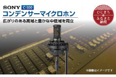 コンデンサーマイクロホン SONY　C-100_ ソニー マイク 高音質 配信 会議 テレワーク 録音 ゲーム 実況 youtube 【1340462】