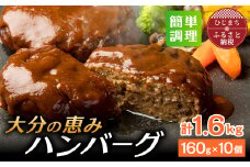 大分の恵みハンバーグ 1.6kg (160g×10個)(日出町)【1373904】