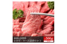 おおいた和牛カルビ・ロース焼肉セット＜合計500g＞【1395594】