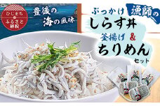 豊後の海の風味　口いっぱいに広がる新鮮な味わい　漁師のぶっかけしらす丼&釜揚げちりめん_ ちりめん しらす 海鮮 釜揚げ 人気 おすすめ 送料無料 贈答 ギフト プレゼント 冷凍 新鮮 旬 【1401172】