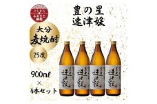 大分むぎ焼酎　二階堂速津媛25度(900ml)4本セット【1456766】