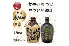大分むぎ焼酎　二階堂吉四六つぼ25度とやつがい30度(720ml)2本セット【1455221】
