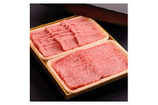 ＜のし付き＞＜お歳暮＞おおいた和牛食べ比べセットA(上カルビ&上ロース)(合計600g)【1362903】