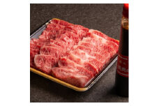 ＜のし付き＞＜お歳暮＞おおいた和牛カルビ焼き肉セット(500g)つけダレ付【1363423】