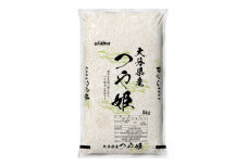 大分のお米　大分県産つや姫5kg×2(日出町)【1466335】
