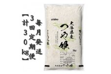 ＜毎月定期便＞大分のお米　大分県産つや姫5kg×2(日出町)全3回【4050496】