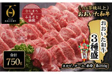 ＜のし付き＞おおいた和牛3種盛(合計750g)【1296696】