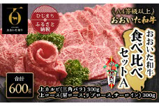 ＜のし付き＞おおいた和牛食べ比べセットA(上カルビ&上ロース)(合計600g)【1296697】